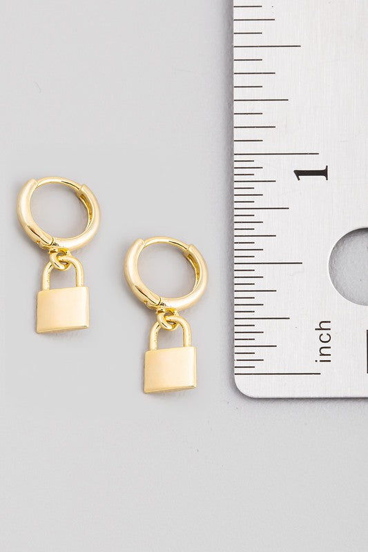 Mini Padlock Hoops